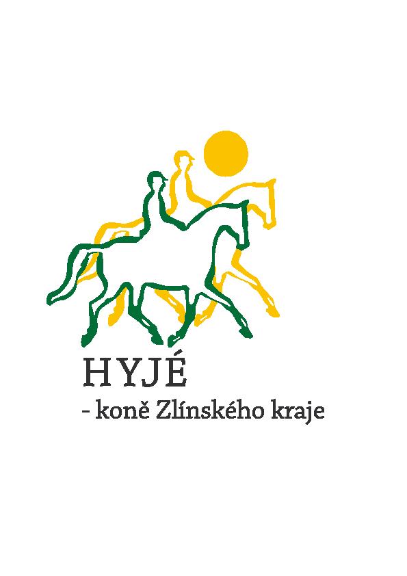 VÝROČNÍ ZPRÁVA ZA ROK 2008 Právní forma: obecně prospěšná společnost Datum založení: 12.3.