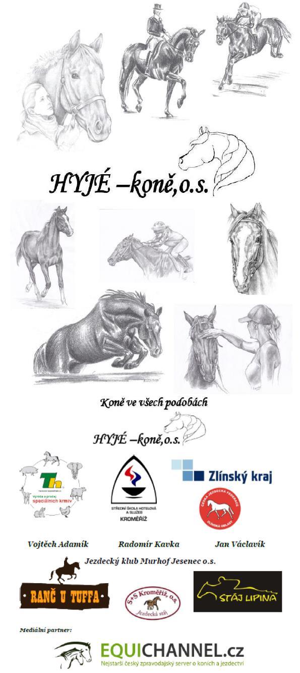 Výroční zpráva 2015 HYJÉ koně, z.s.