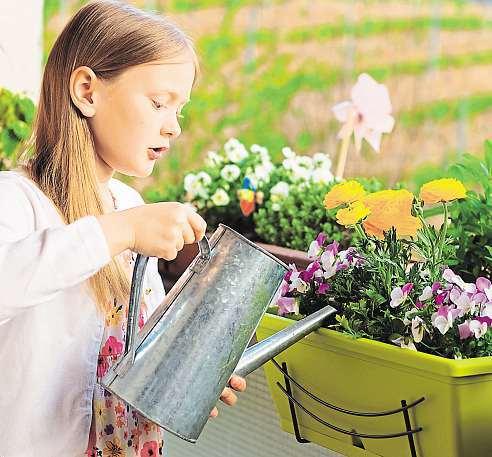 12 4. května 2018 Česká republika Proměňte svůj balkon vzahradu v oblacích Které rostliny vybrat?