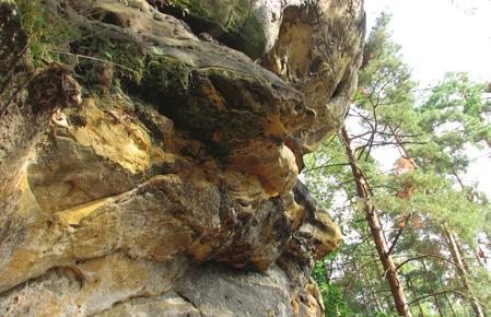 3. Na skalních stěnách profilu se intenzivně projevuje zvětrávání horniny.