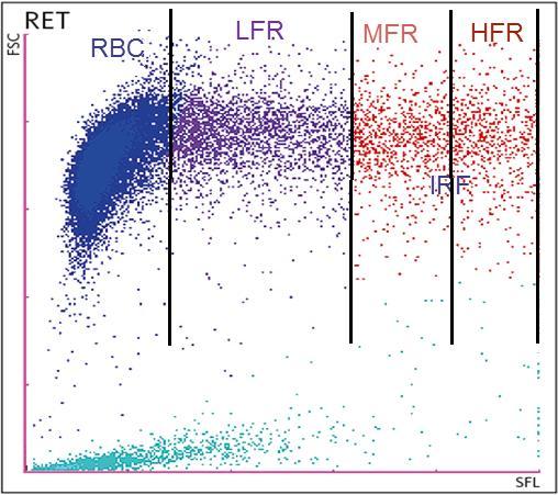 Stanovení Retikulocytů v RET kanálu Rozdělení RET do 3 zón na základě intenzity fluorescenčního světla Výpočet hodnot mladších forem RET v poměru k