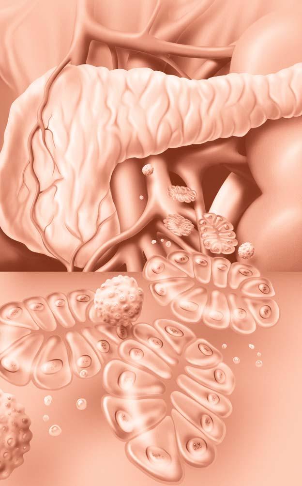 www.remedia.cz OBSAH DIABETOLOGIE I, v bûr ãlánkû, 2009, vy lo 14. 4. 2009 REGISTROVÁNO U MINISTERSTVA KULTURY âr POD âíslem MK âr E 5372, ISSN 0862-8947 editel nakladatelství a vydavatelství PharmDr.