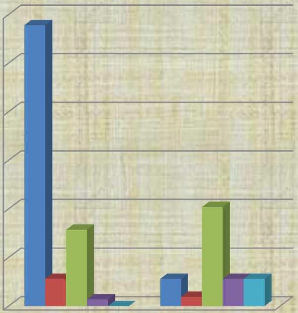 5 4 3 2 1 0 Verbální substantiva % % 6 5 4 ACT+PAT 3 ACT+ADDR 2 PAT+ADDR PAT+EFF 1 PAT+ORIG 0