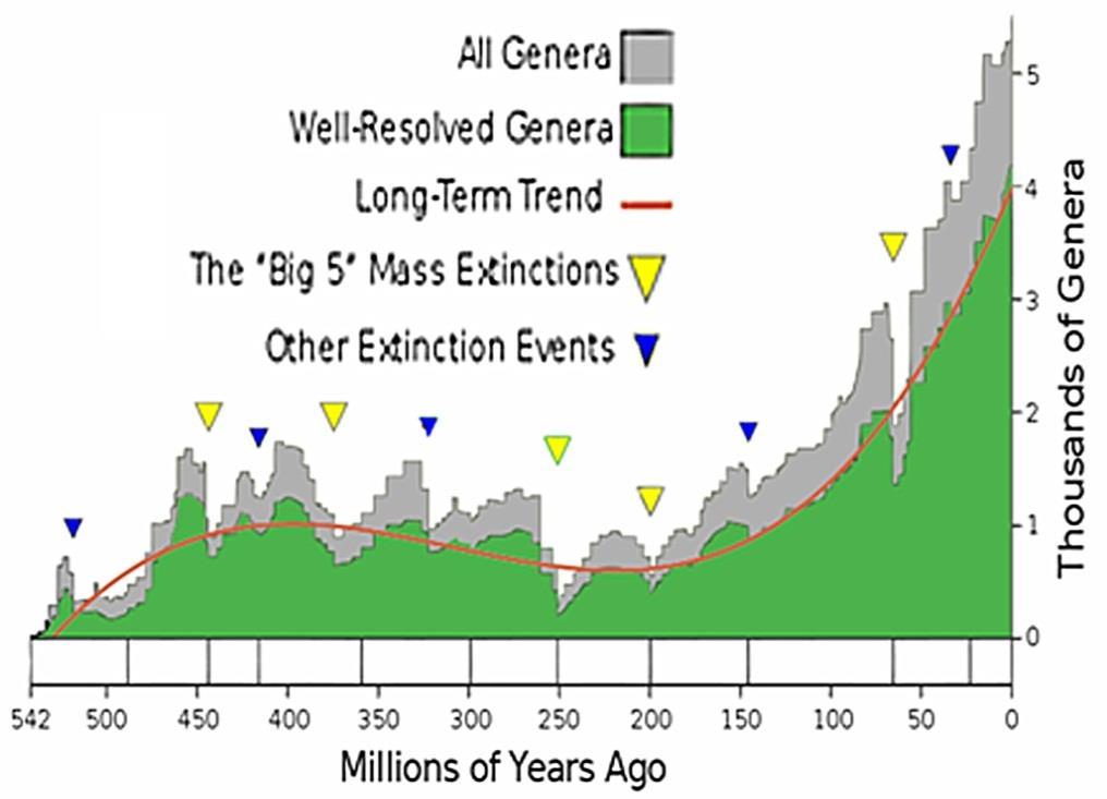 Geografické rozdíly v rozsahu vymírání v posledních 50 tis. letech extrémní vymírání velkých (> 44 kg) terestrických obratlovců 6. světové vymírání?