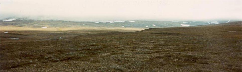 Pozdní glaciál: pozadí klimatických změn, důsledky chladné výkyvy způsobeny porušením termohalinní