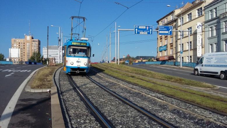V průběhu roku rostliny rozchodníků mění barvu a v jarních měsících rozkvetou žlutě, bíle nebo červeně, podle druhu. Rozchodníky jsou vytrvalé sukulenty i na větrných stanovištích.