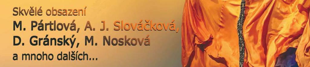 U částek vyšších než 300 000 Kč musí být doložen souhlas manžela/ky.