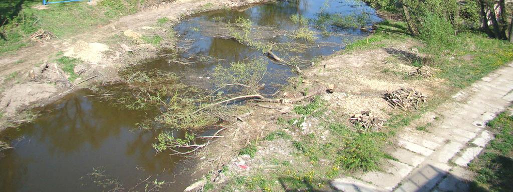 V rámci revitalizace ramene zmizí i zbytky někdejší plovárny (jako funkční a využívanou ji lze pamatovat z dob první republiky), budou odstraněny sedimenty z řeky, břehy se částečně opevní panely.