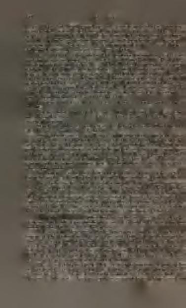 vlněný mamutí uhlíkseznamky zdarma chatovací stránky