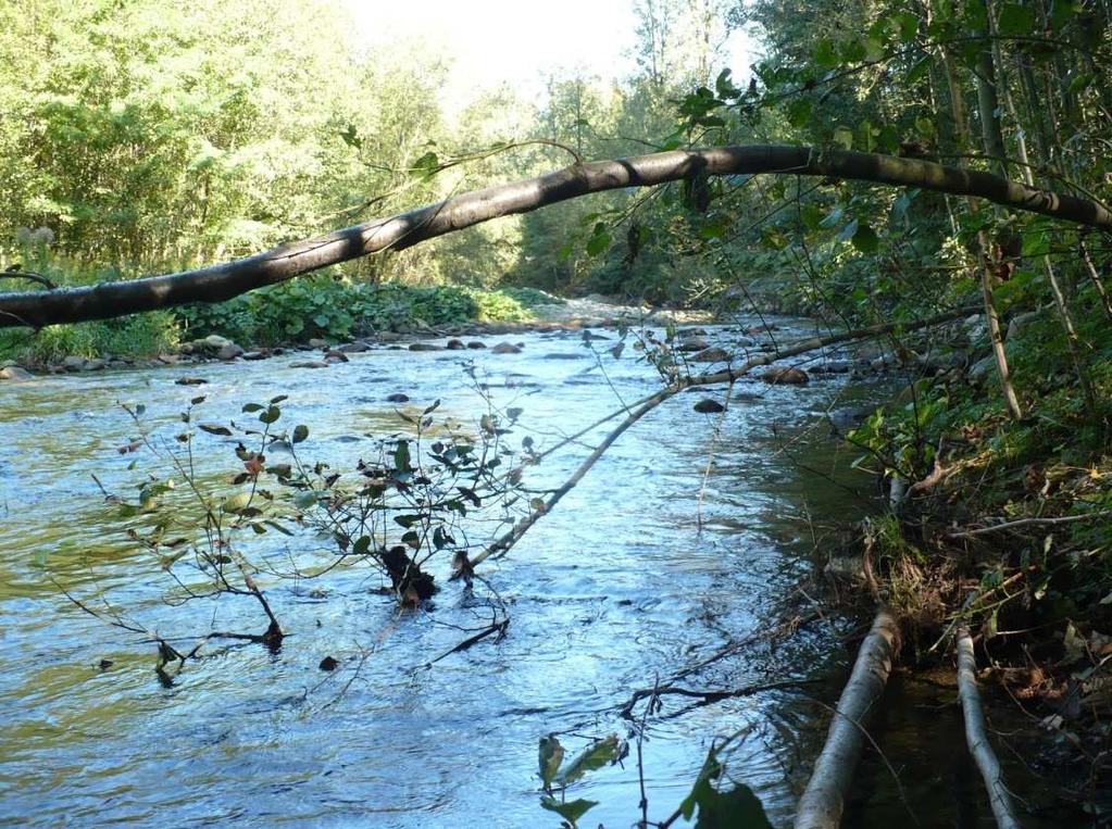 3 Volba vhodné lokality pro výstavbu MVE 22 3.2.3 Možnost zřízení MVE na řece Desné Řeka Desná je přítok řeky Moravy o délce toku 43,4 km.