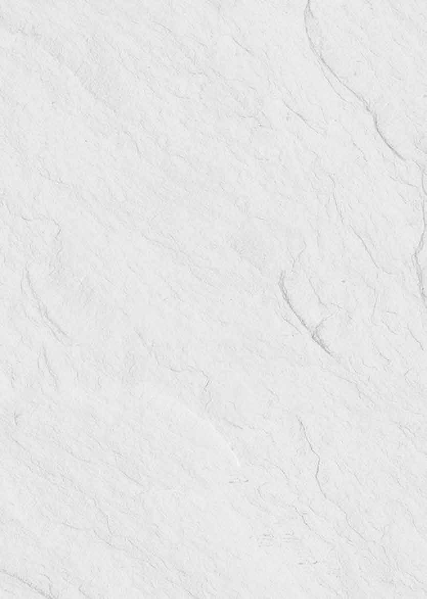 Ardesia je značka talianskych spotrebičov, ktorých výroba je situovaná v mestečku Gualtieri, v samotnom srdci regiónu Emilia Romagna, známom gastronómiou a výrobou špičkových produktov s označením