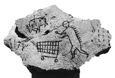 specializace specializace produkce omezeného počtu druhů plodin a zvířecích