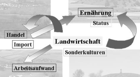 Analysis Carrying Capacity