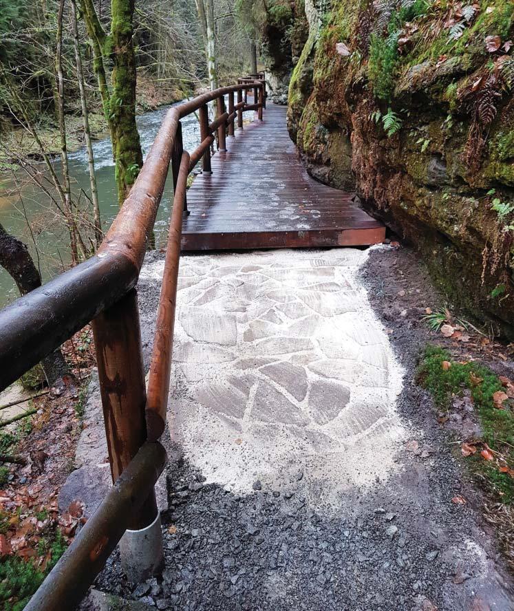 Plavilo se od sedmé ranní hodiny do tmy a byly stanoveny i pøísné pøedpisy - v soutìskách byl zakázán podomní obchod, žebrota, fotografování jako obchodní èinnost a vylepování