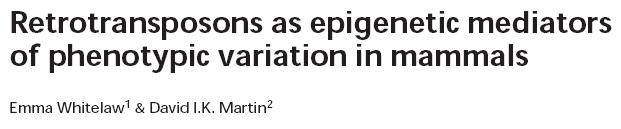 PEV) Slotkin 2007, NatRevGenet