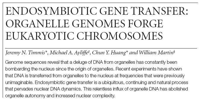 Promiscuous DNA (Ellis, 1982) cp DNA v mt genomu Endosymbiotic gene transfer is