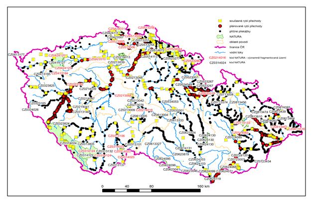 Fragmentace vs rybí společenstva Vztah mezi ekologickým stavem (biologická