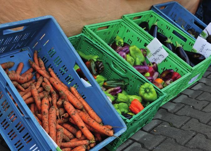 Ministerstvo zemědělství Z produkce 353 tun osiva a sadby bylo na trhu uplatněno 84 %, zbylých 16 % produkce zůstalo na ekofarmách k dalšímu využití (stejný poměr jako v roce 2014).