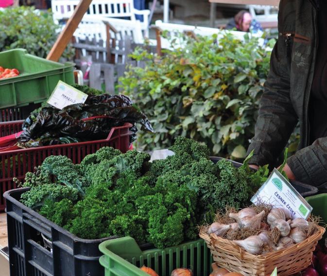 Ministerstvo zemědělství Graf 5 Podíl hlavních kategorií potravin na celkovém obratu biopotravin (2005 2015) 100% 90% 80% 70% 60% 50% 40% 30% 20% 10% 0% 5 5 2 2 3 1 4 12 11 11 15 33 35 34 33 33 36 37