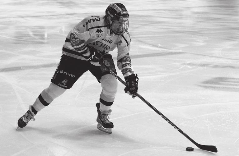 HC Litvínov: Pejsar (Zajíček) Bártek, Viedemann, Baláž, Kitzberger, Kroupa, Háva Jindra, Kysela, Berka, Limanovský, Bartoš, Jouza, Fišer, Kovačič, Dufek, Svoboda.
