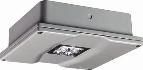 Formula 65 Pluraluce Extreme LED