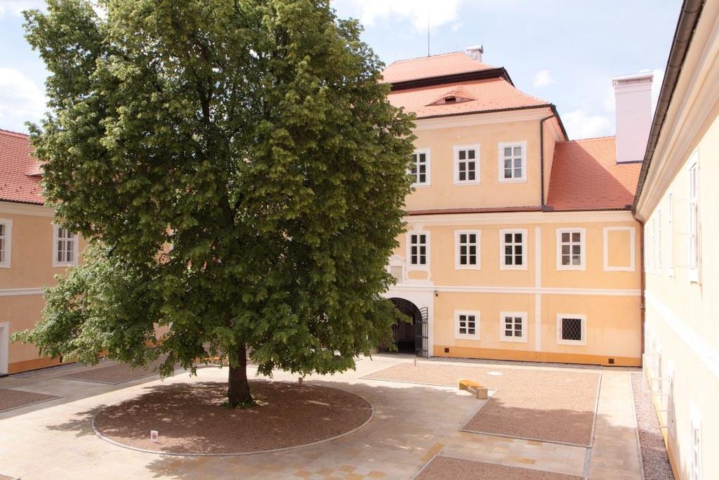 nástroje kromě zobcových fléten LITVÍNOVSKÉ