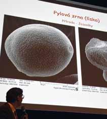 Projects Projects Salzburg Medical Seminars IN 2017, for the fifteenth year, the OHF continued organising stays of Czech physicians to the Salzburg Medical Seminars organised by the American Austrian