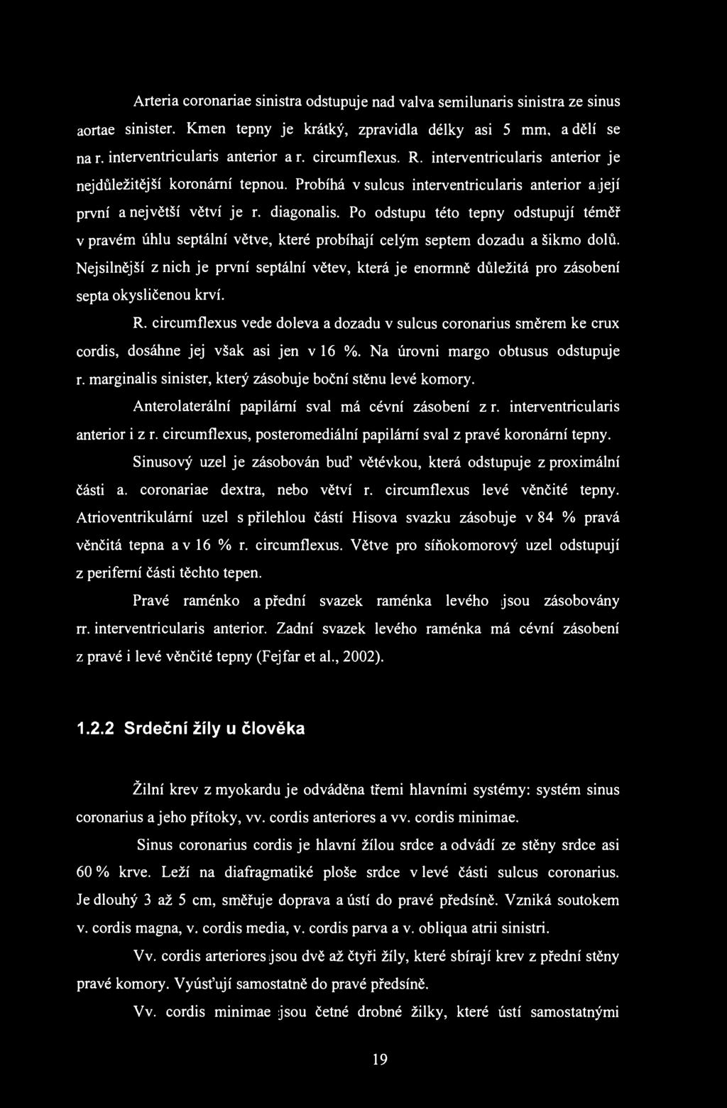Arteria coronariae sinistra odstupuje nad valva semilunaris sinistra ze sinus aortae sinister. Kmen tepny je krátký, zpravidla délky asi 5 mm, a dělí se nar. interventricularis anterior ar.