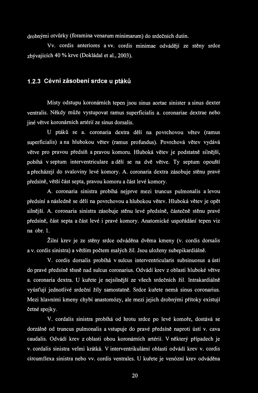 drobnými otvůrky (foramina venarum minimarum) do srdečních dutin. Vv. cordis anteriores aw. cordis minimae odvádějí ze stěny srdce zbývajících 40 % krve (Dokládal et al., 20