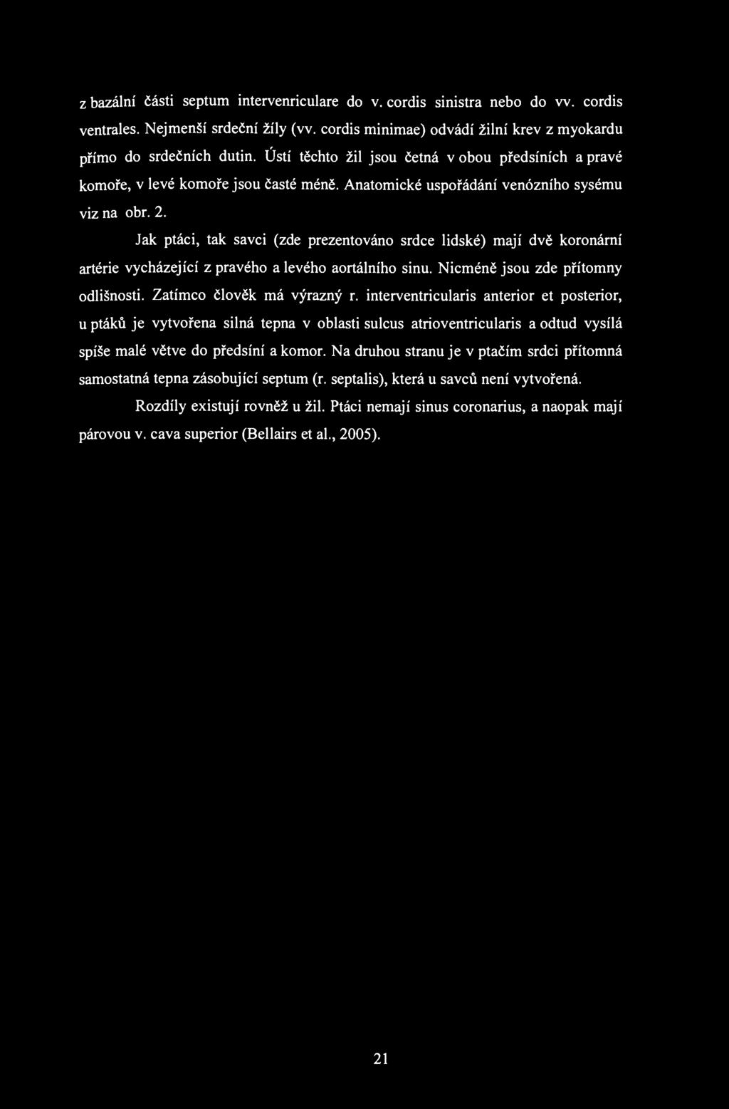 z bazální části septum intervenriculare do v. cordis sinistra nebo do w. cordis ventrales. Nej menší srdeční žíly (vv. cordis minimae) odvádí žilní krev z myokardu přímo do srdečních dutin.