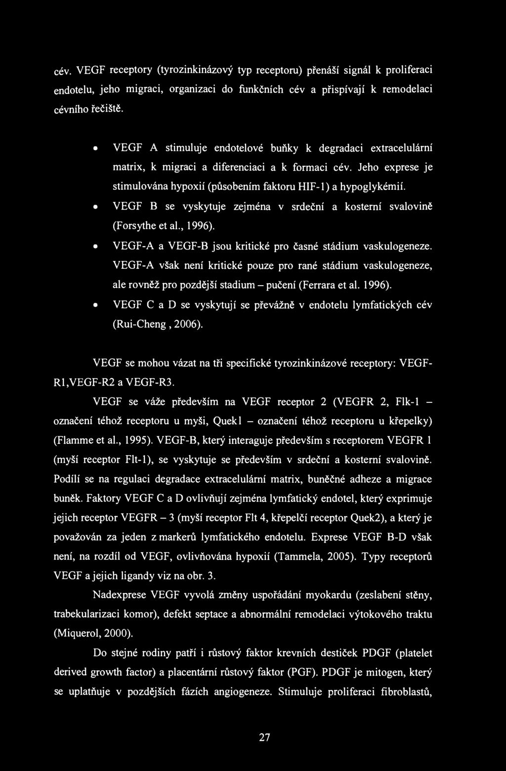 cév. VEGF receptory (tyrozinkinázový typ receptoru) přenáší signál k proliferaci endotelu, jeho migraci, organizaci do funkčních cév a přispívají k remodelaci cévního řečiště.