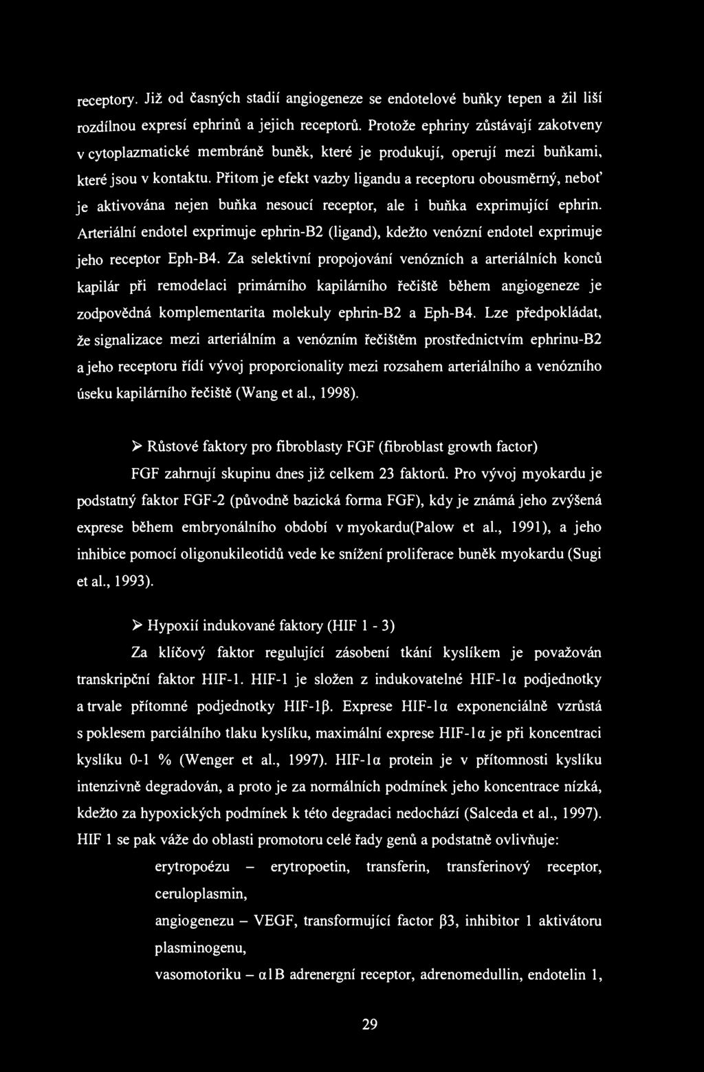 receptory. Již od časných stadií angiogeneze se endotelové buňky tepen a žil liší rozdílnou expresí ephrinů a jejich receptorů.