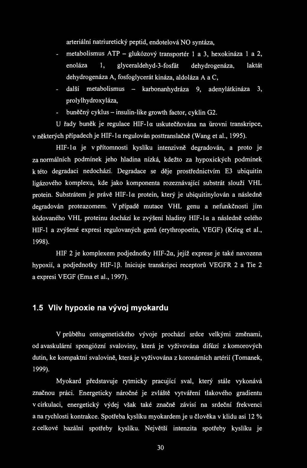 arteriální natriuretický peptid, endotelová NO syntáza, - metabolismus ATP - glukózový transportér 1 a 3, hexokináza 1 a 2, enoláza 1, glyceraldehyd-3-fosfát dehydrogenáza, laktát dehydrogenáza A,