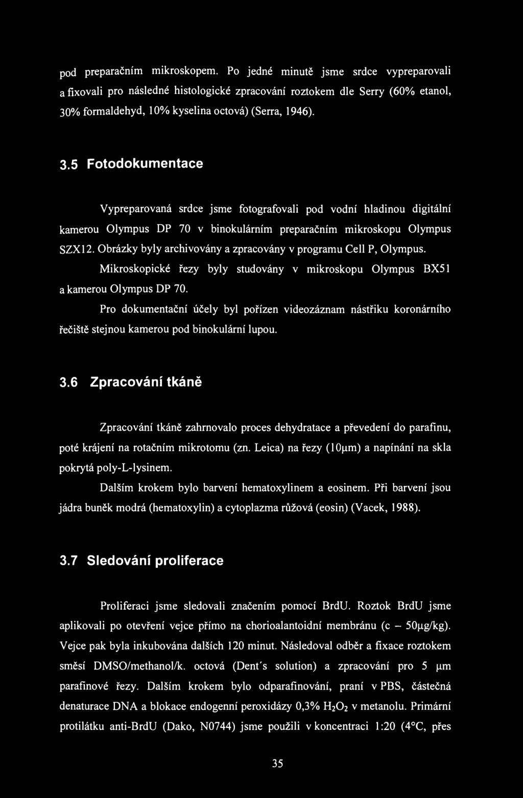 pod preparačním mikroskopem.