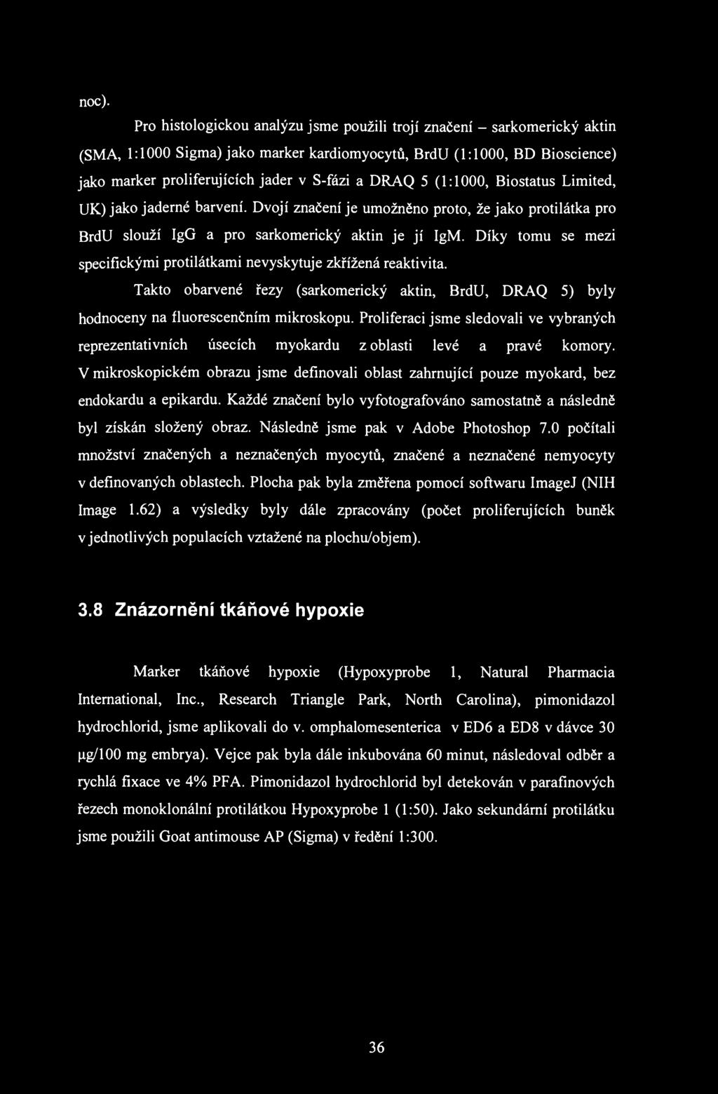 noc). Pro histologickou analýzu jsme použili trojí značení - sarkomerický aktin (SMA, 1:1000 Sigma) jako marker kardiomyocytů, BrdU (1:1000, BD Bioscience) jako marker proliferujících jader v S-fázi