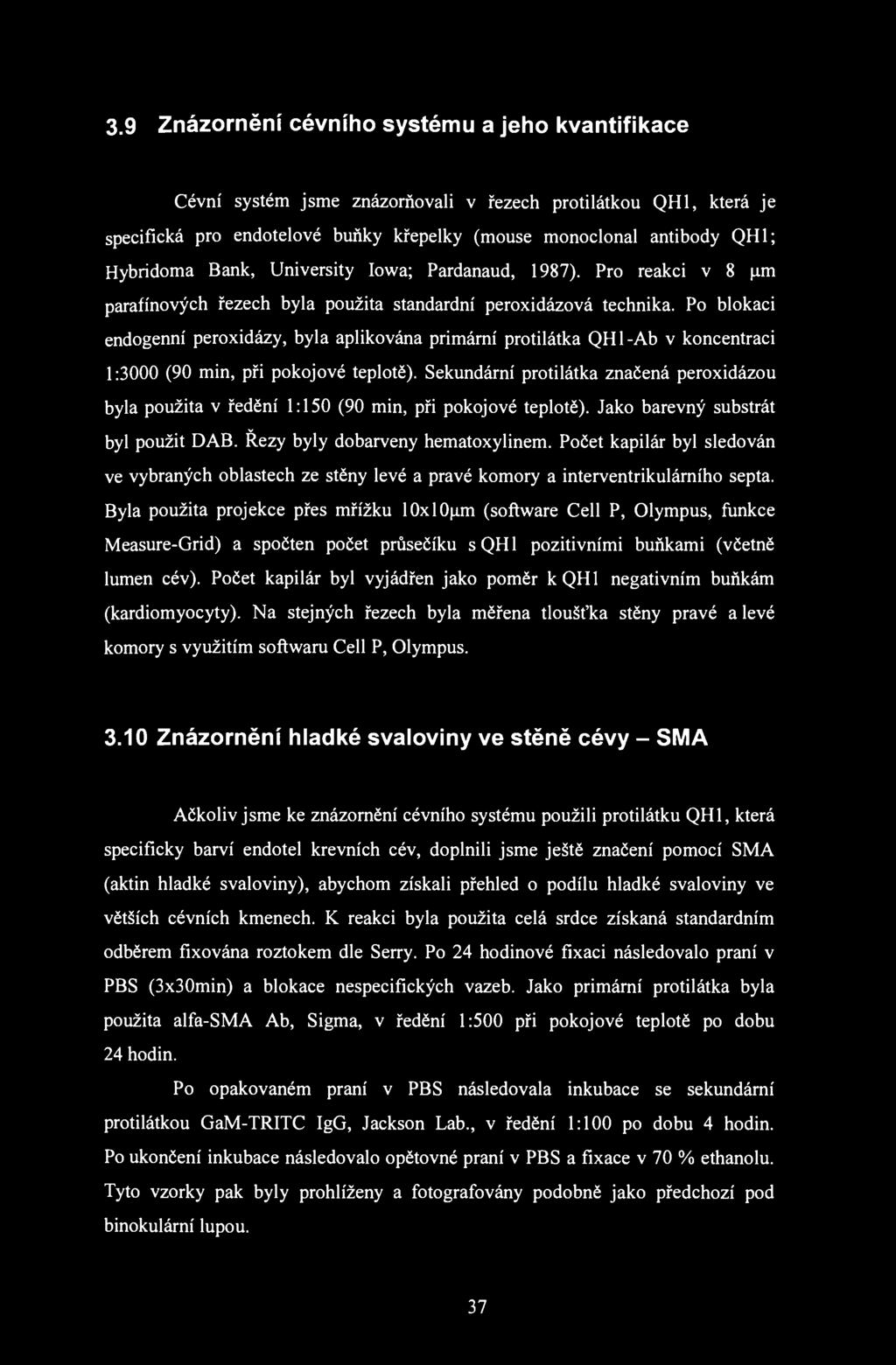 3.9 Znázornění cévního systému a jeho kvantifikace Cévní systém jsme znázorňovali v řezech protilátkou QH1, která je specifická pro endotelové buňky křepelky (mouse monoclonal antibody QH1; Hybridoma