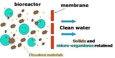 Biologické metody - mikrobiální rozkladné procesy buď aktivovaného kalu nebo specializovaných Mo - fytoremediace, konkrétně zejména