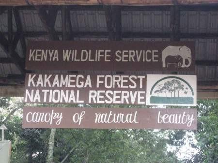 Kakamega forest - Keňa Představuje nejvýchodnější izolovaný