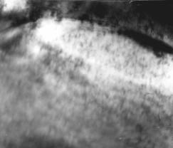 Microstructure of nitrided layer developed: 8 at 470 o C for 30 min, 9