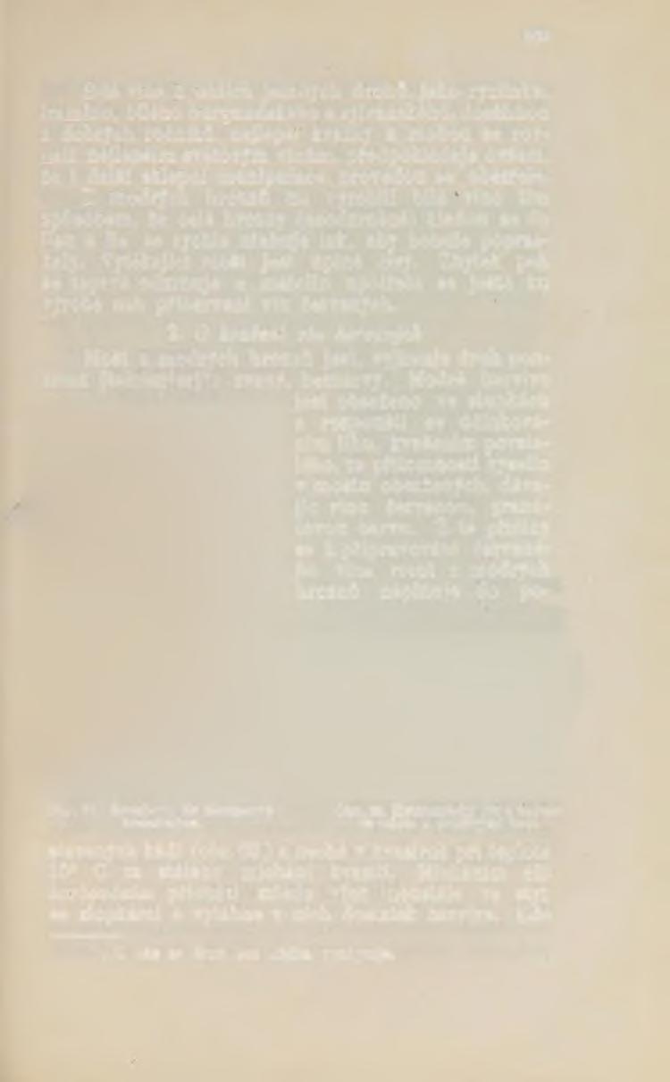 109 Bilá vína z našich jemných druhů, jako ryzlinku, tramínu, bílého burgundského a sylvánského, dosáhnou z dobrých ročníků