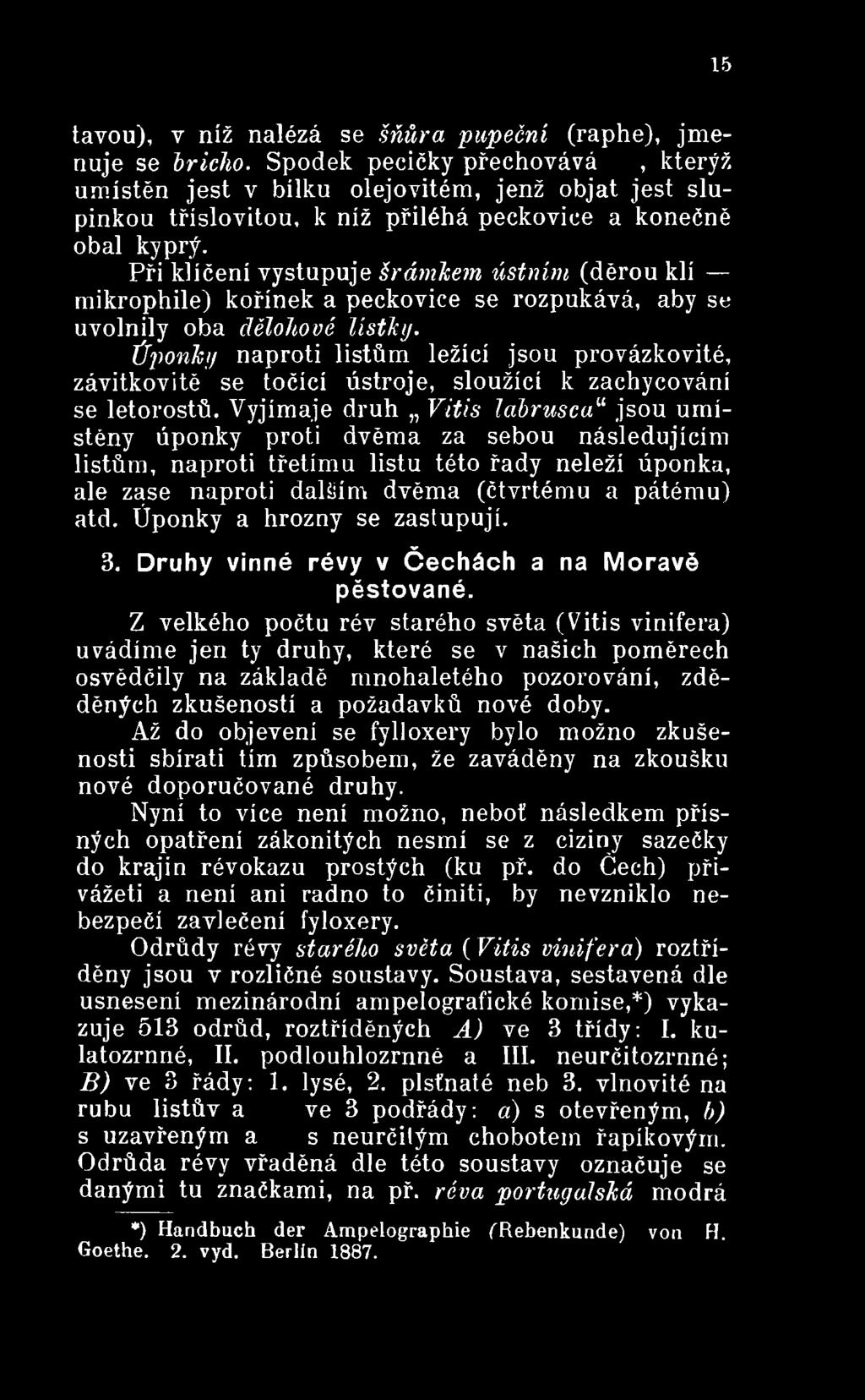 Vyjímaje druh Vitis labruscau jsou umístěny úponky proti dvěma za sebou následujícím listům, naproti třetímu listu této řady neleží úponka, ale zase naproti dalším dvěma (čtvrtému a pátému) atd.