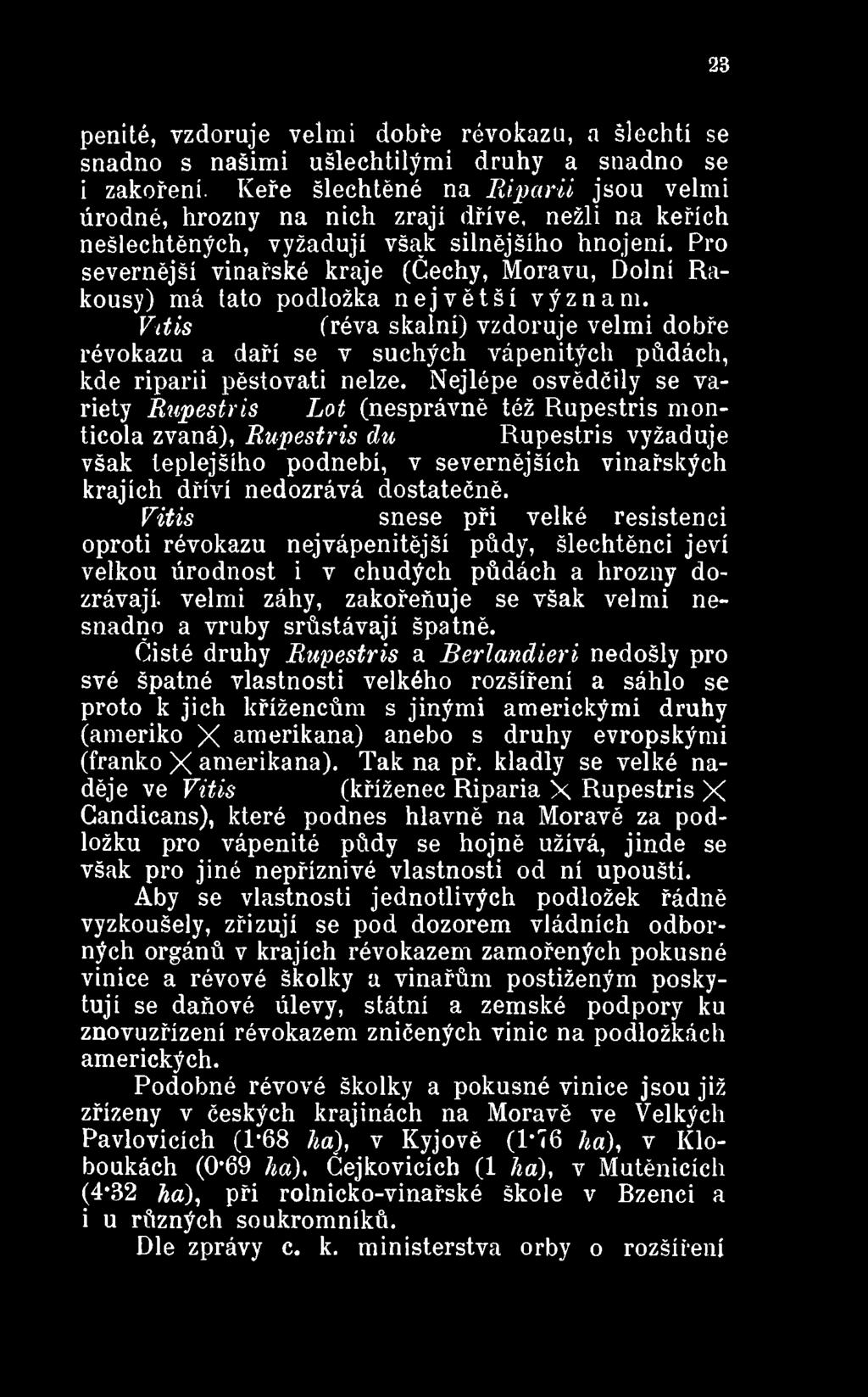 Nejlépe osvědčily se variety Rupestris du Lot (nesprávně též Rupestris m ticola zvaná), Rupestris du Rupestris vyžaduje však teplejšího podnebí, v severnějších vinařských krajích dříví nedozrává