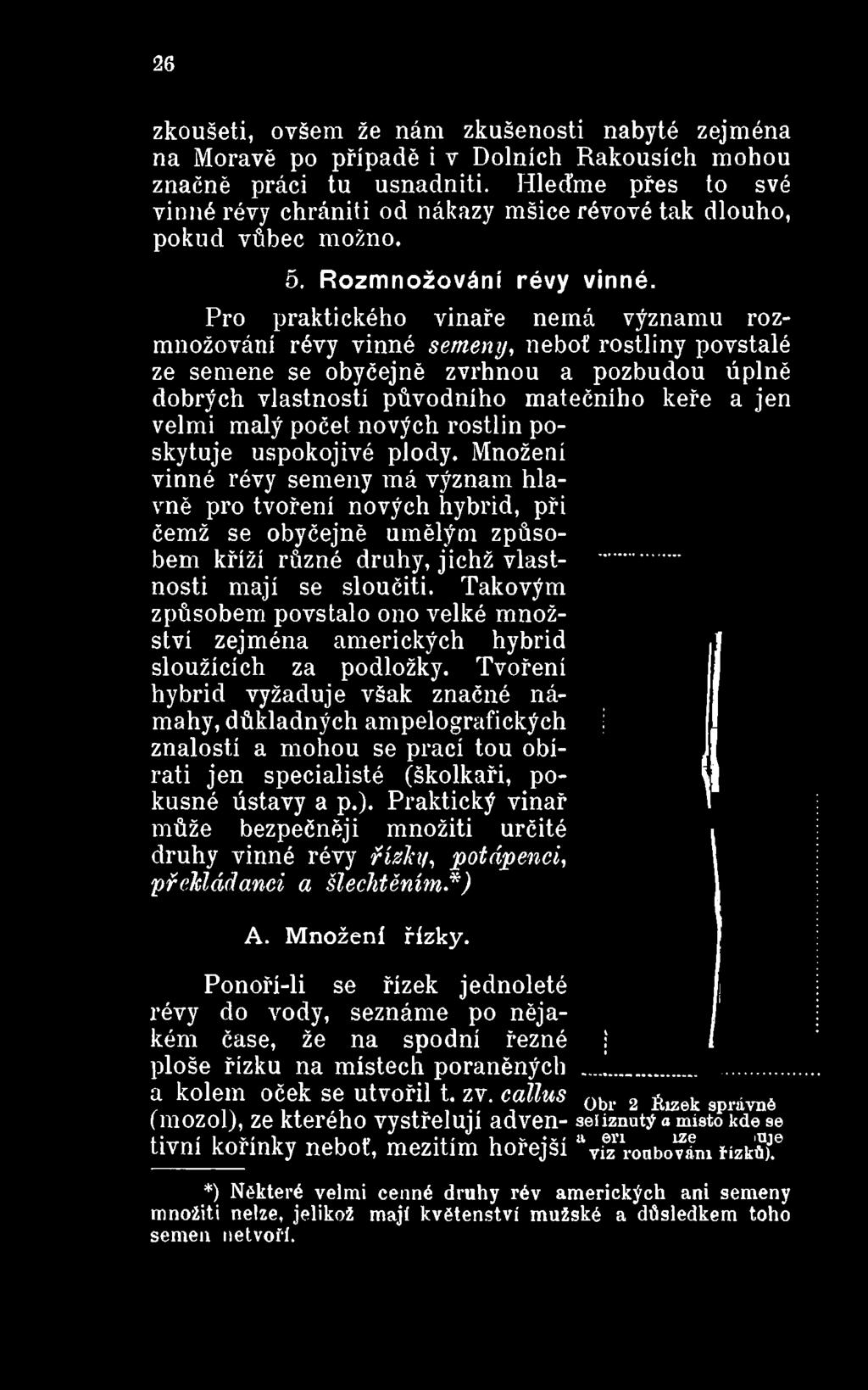 Množení vinné révy semeny má význam hlavně pro tvoření nových hybrid, při čemž se obyčejně umělým způsobem kříží různé druhy, jichž vlastnosti mají se sloučiti.