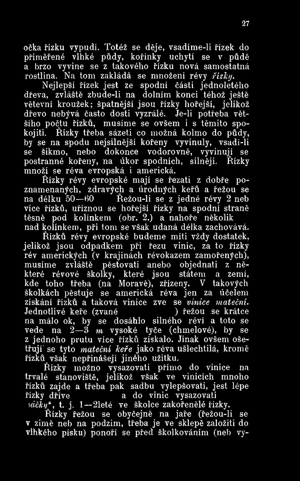 Řízky třeba sázeti co možná kolmo do půdy, by se na spodu nejsilnější kořeny vyvinuly, vsadí-li se šikmo, nebo dokonce vodorovně, vyvinují se postranné kořeny, na úkor spodních, silněji.