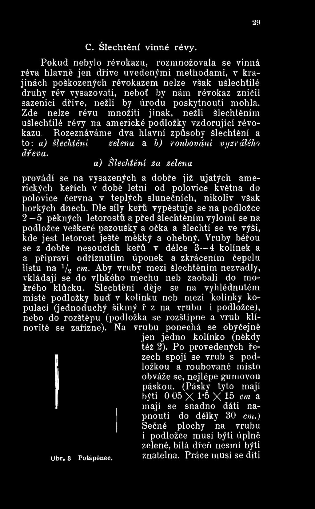 a) Šlechtění za zelena provádí se na vysazených a dobře již ujatých amerických keřích v době letní od polovice května do polovice června v teplých slunečních, nikoliv však horkých dnech.