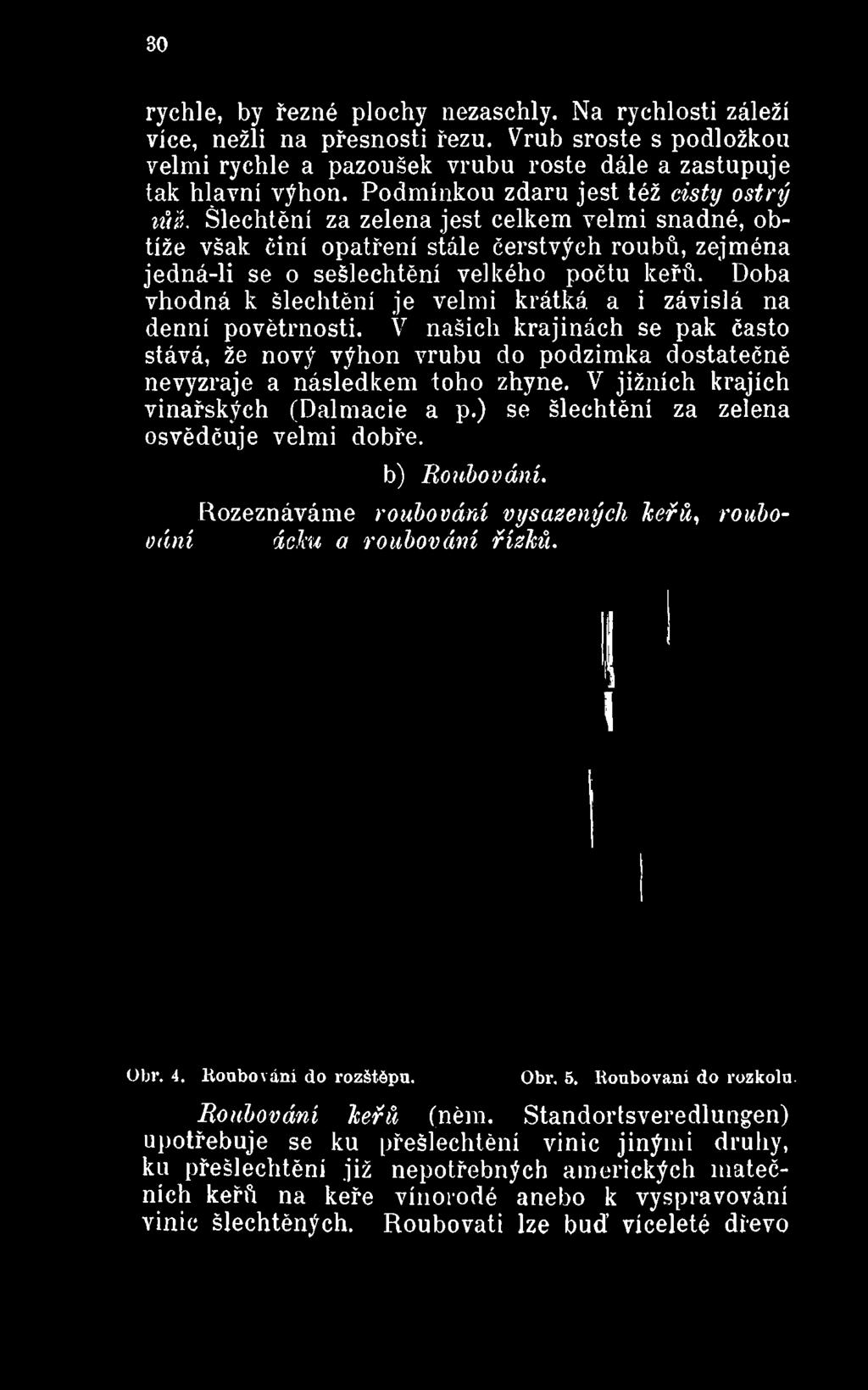 velkého počtu keřů. Doba vhodná k šlechtění je velmi krátká a i závislá na denní povětrnosti.