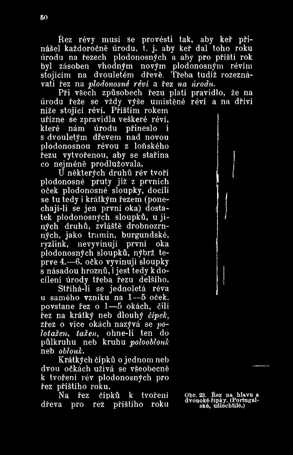 prodlužovala.