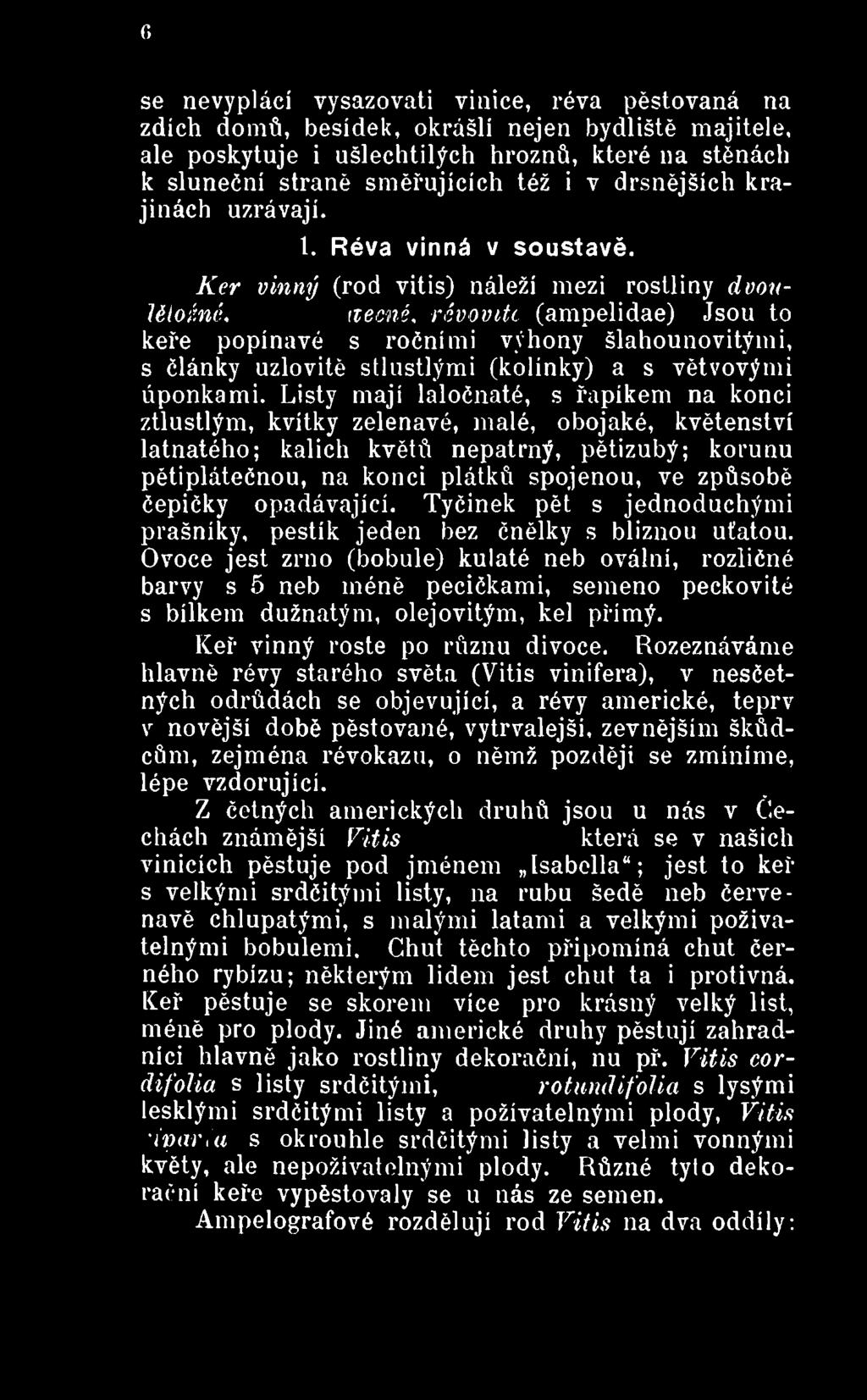 čepičky opadávající. Tyčinek pět s jednoduchými prašníky, pestík jeden bez čnělky s biiznou uťatou.