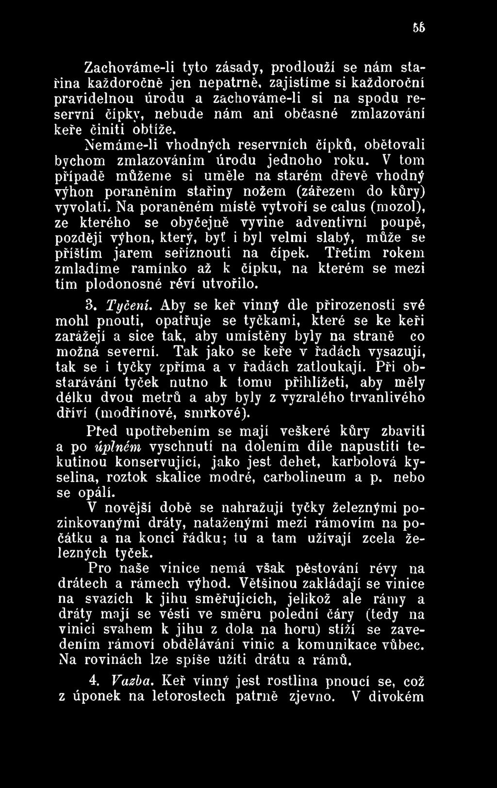 Třetím rokem zmladíme ramínko až k čípku, na kterém se mezi tím plodonosné réví utvořilo. 3. Tyčení.