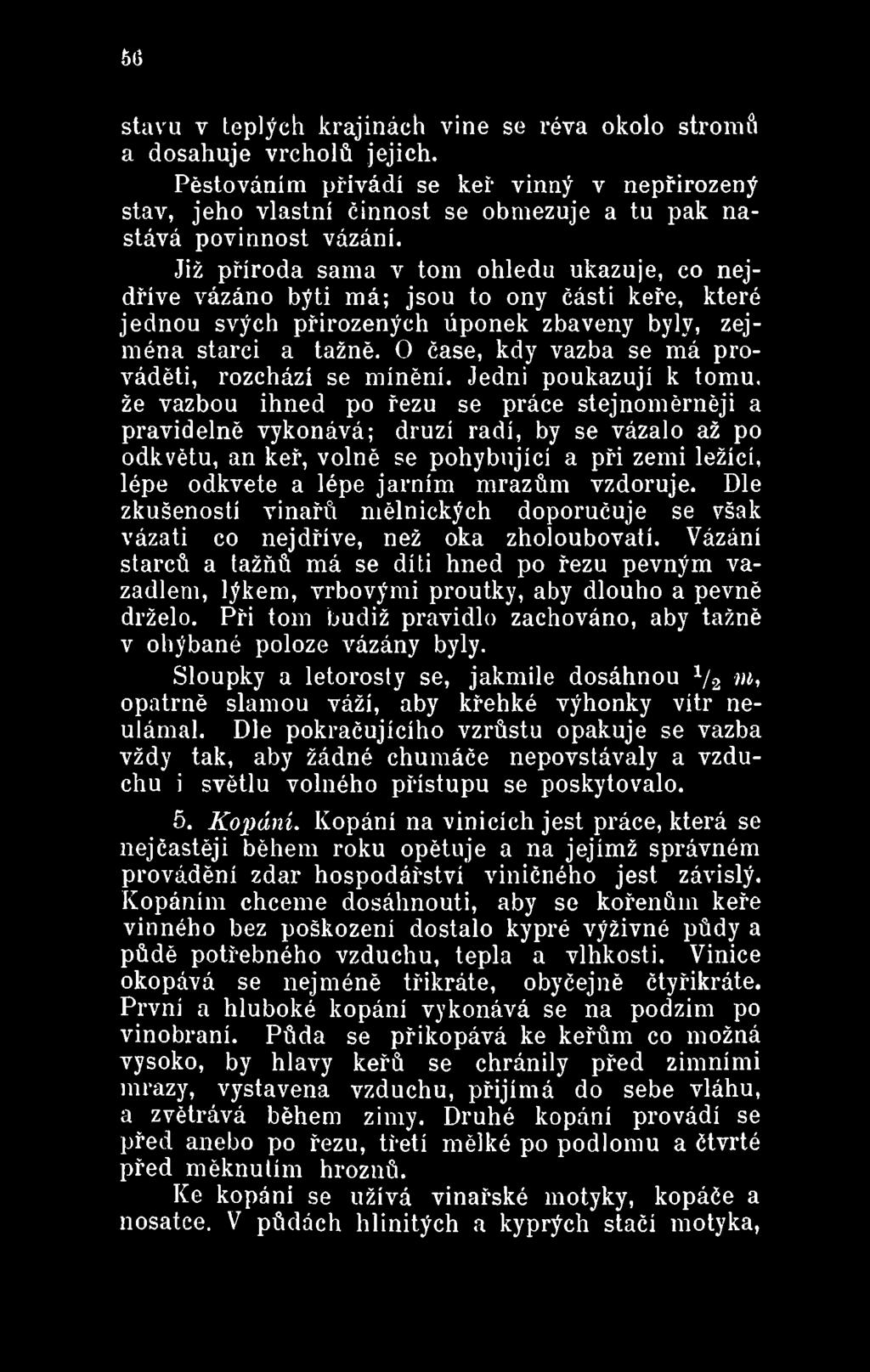 Jedni poukazují k tomu, že vazbou ihned po řezu se práce stejnoměrněji a pravidelně vykonává; druzí radí, by se vázalo až po odkvětu, an keř, volně se pohybující a při zemi ležící, lépe odkvete a